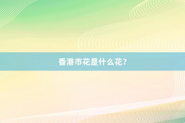 香港市花是什么花？