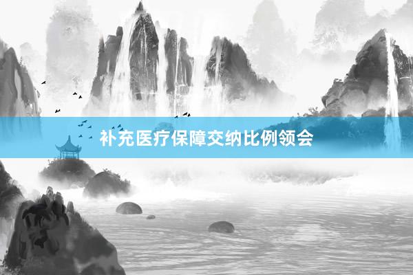 补充医疗保障交纳比例领会