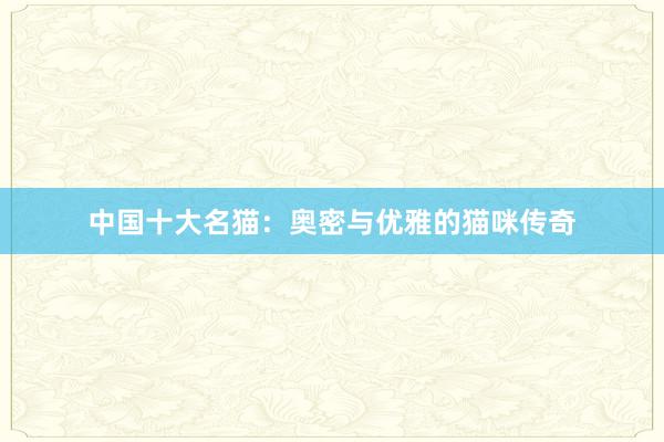 中国十大名猫：奥密与优雅的猫咪传奇